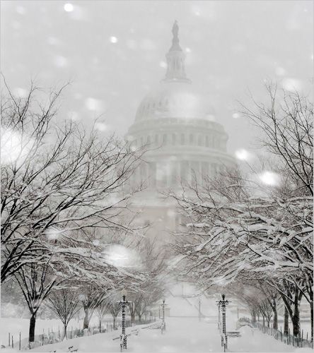 Washington Dc Winter, Dc Winter, Capital Building, A Snowy Day, Snow Falls, Snow Ice, Winter Magic, Winter Scenery, Winter Beauty