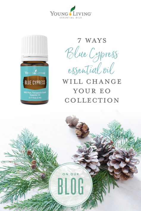 Blue Cypress Diffuser Blend, Diffuser Blends Young Living, Blue Cypress, Tangerine Essential Oil, Cypress Essential Oil, Essential Oils For Headaches, Young Living Essential Oils Recipes, Yl Oils, Yl Essential Oils