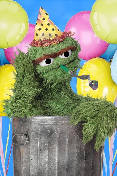 Happy Birthday Sesame Street, Oscar Sesame Street, Sesame Street Oscar, Muppets Party, Sesame Place, Sesame Street Muppets, Sesame Street Party, Nephew Birthday, Oscars Party