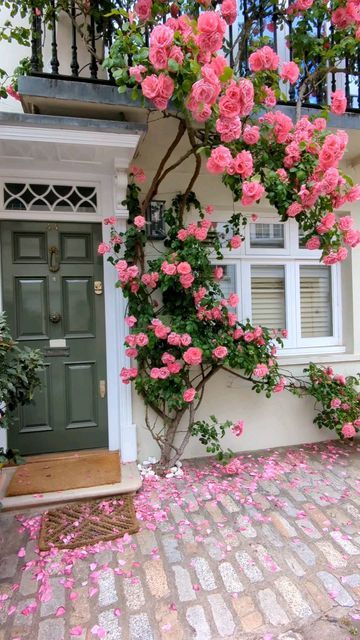 Beautiful Gardens Magical, Small Front Gardens, Climbing Flowers, Beautiful Home Gardens, Flower House, Rose Plant, Blossom Garden, Roses Garden, Fall Garden Vegetables