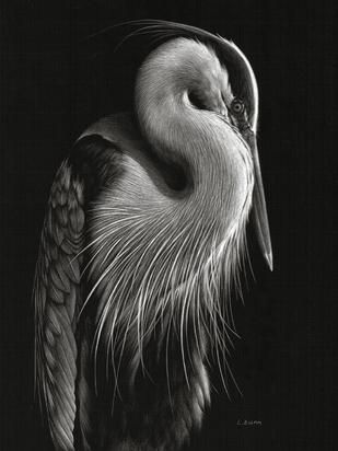 Lori Dunn - scratchboard Scratch Board Art, Maus Illustration, Heron Art, Scratchboard Art, Black Paper Drawing, Scratch Art, White Drawing, Herons, Board Art