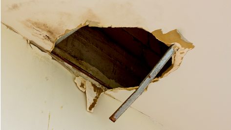 huge hole in the roof from rainwater | A Beginner's Guide To Ceiling Repair | ceiling drywall repair Repair Hole In Ceiling Drywall, Drywall Repair Ceiling, Water Damaged Ceiling, Top Bunk Bed, Repair Ceilings, Drop Ceiling Panels, Ceiling Leak, Sheetrock Repair, Barns Courtney