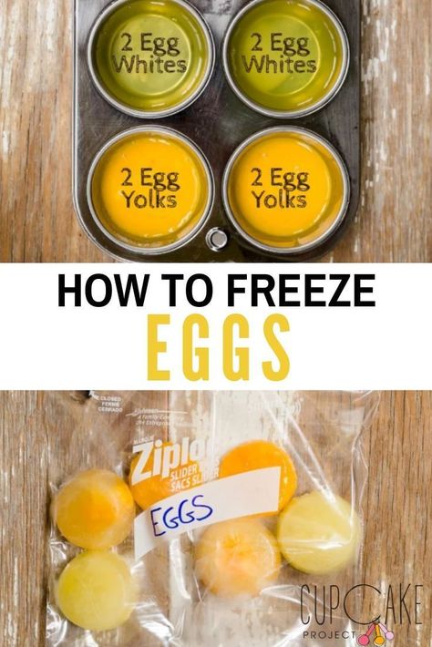 You can freeze egg whites, egg yolks, or even whole eggs!Freezing helps save those stray egg whites or yolks left over from meringues, custards, curds, or even making cupcakes. It’s also a great way to make sure that you are prepared if you’re snowed in, sick, quarantined, or otherwise unable to leave your house. #FreezingEggs #BakingTips Freezing Egg Whites, How To Freeze Eggs, Can You Freeze Eggs, Freeze Eggs, Egg Yolk Recipes, Egg Yoke, Making Cupcakes, Storing Eggs, Egg Cupcakes