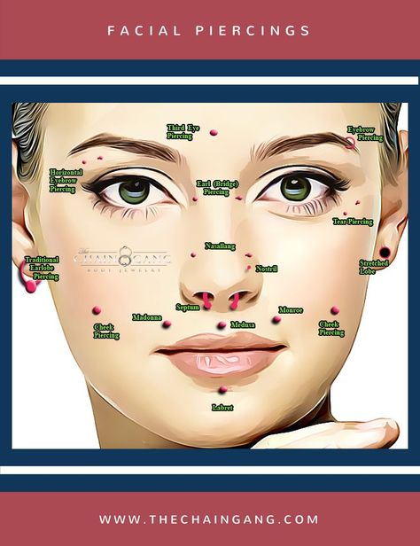 Different Piercings Face, Face Dermal Piercing, Face Dermal, Piercings Chart, Different Types Of Piercings, Facial Piercing, Cheek Piercings, Oc Things, Mouth Piercings