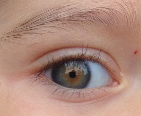 The most beautiful child's eye: blue with brown inside. Reborn Eyebrows, Baby Eyebrows, Reborn Painting, Baby Doll Hair, Macro Pictures, Eyes Artwork, Baby Eyes, Hair Patterns, Realistic Baby Dolls