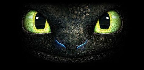 Toothless face Toothless Eyes, Eyes Tattoo, Legendary Dragons, Hiccup And Toothless, Rune Stones, New Puzzle, Unique Puzzles, Multiplayer Games, Face Tattoo