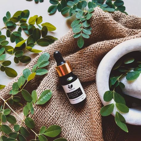 Moringa oil has been in the limelight of the natural beauty industry for a while. It is said that #moringaoil has more Vitamin A than… Moringa Oil Benefits, Moringa Photography, The Body Shop Moringa, Moringa Products, Moringa Tree Pictures, Moringa Oil, Beauty Industry, Hair Skin, Wine Rack