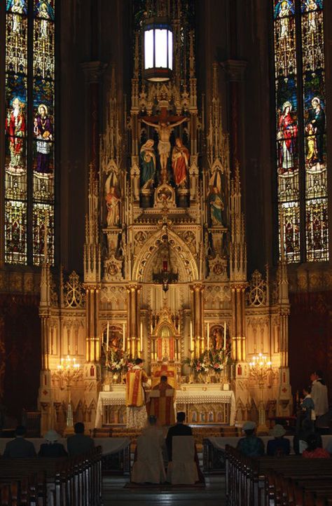 Old Catholic Church, Forever And Ever Amen, St Louis Cathedral, Traditional Catholicism, Catholic Altar, Church Aesthetic, Catholic Pictures, Stained Glass Church, Latin Mass