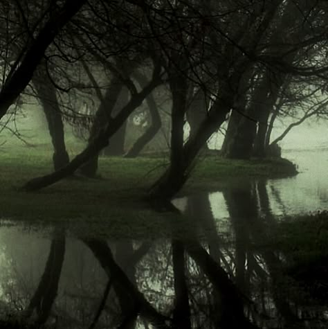 Gloomy Garden Aesthetic, Wide Photos Aesthetic, Fantasy Asthetics Photos, Forest Astethic, Let Go Ark Patrol Vibe, Dark Enchanted Forest Aesthetic, Oh Who Is She Aesthetic, Rain Background Aesthetic, Little Dark Age Aesthetic