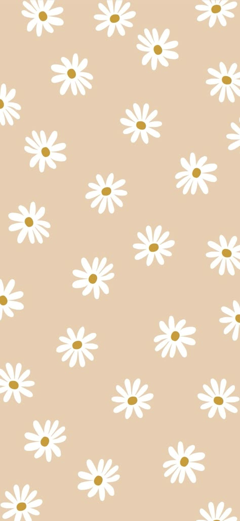 Beige Phone Wallpaper, Cuptakes Wallpapers, Daisy Background, Blue Butterfly Wallpaper, Phone Wallpaper Boho, Daisy Wallpaper, Wallpaper Iphone Summer, Cute Fall Wallpaper, Whatsapp Wallpaper