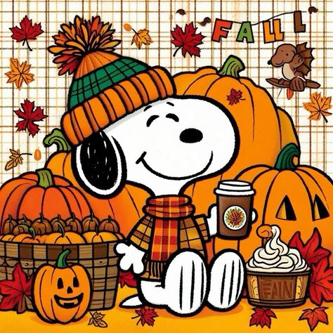 Snoopy September, Good Morning September, Fall Snoopy, Snoopy Thanksgiving, Snoopy Fall, Thanksgiving Snoopy, Charlie Brown Thanksgiving, Peanut Gang, Happy Halloween Pictures