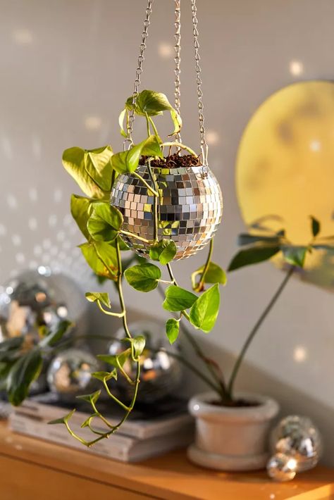 Halloween Chic, Deco Originale, Unique Planter, Self Watering Planter, Plant Shelves, Candle Shapes, Plant Mom, Disco Ball, Hanging Planters