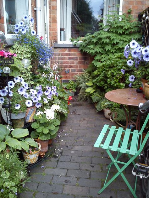 Tree Alley Garden, Small Alley Garden, Shady Alleyway Garden, Alley Garden, Beautiful Courtyards, Small Garden Inspiration, Tiny Yard, Gardening Wallpaper, Open Courtyard