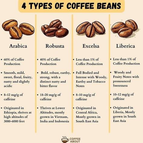 Types Of Coffee Beans Explained (Varieties And Cultivars) Coffee And Tea Aesthetic, Barista Knowledge, Coffee Barista Art, Coffee Bean Shop, Coffee Chart, Barista Art, Little Coffee Shop, Barista Training, Arabica Robusta