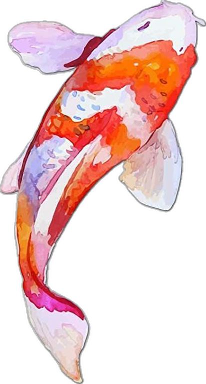 Watercolor Koi Fish, Koi Painting, Koi Fish Drawing, Japanese Koi Fish, Koi Watercolor, Koi Art, Japanese Watercolor, Watercolor Fish, Fotografi Vintage