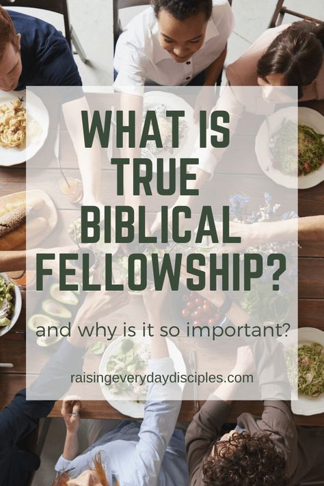 Fellowship Ideas, Church Fellowship, Church Ministry, Inspirational Articles, Gospel Message, Spiritual Disciplines, Biblical Inspiration, Bible Knowledge, Christian Encouragement