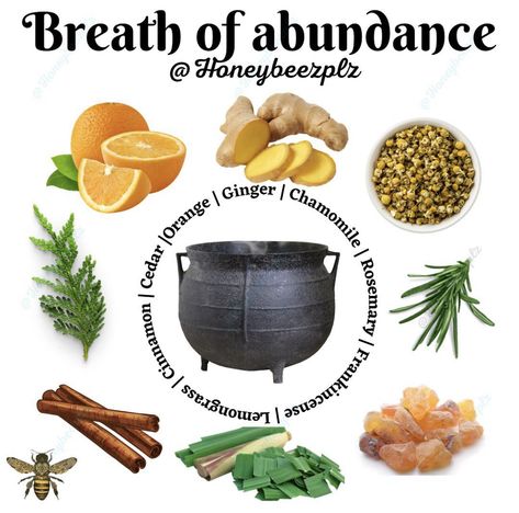 Abundance Spell, Grounding Yourself, Simmer Pot Recipes, Kitchen Witch Recipes, Potpourri Recipes, Magickal Herbs, Simmer Pot, House Smell Good, Witch Spirituality