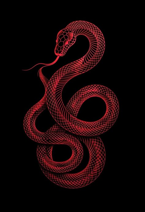 Snake Wallpaper Laptop, Red Snake Aesthetic, Snake Wallpaper Aesthetic, Cobra Aesthetic, Snakes Aesthetic, King Asmodeus, Fantasy Snake, Red Serpent, Snake Artwork