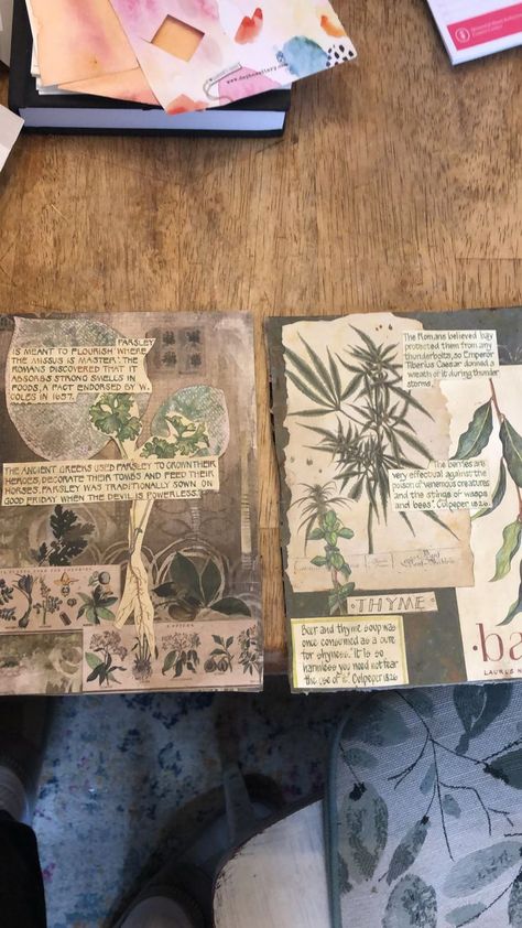 Herbarium Ideas, Herbarium Book Ideas, Herbarium Aesthetic, Herbarium File, File Decoration Ideas, Teacher Aesthetic, Book Cover Diy, Plant Book, Pressed Flower Art