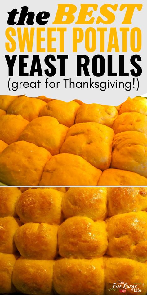 Sweet Potato Rolls In Bread Machine, Sweet Potato Dinner Rolls Recipe, Sweet Potato Yeast Bread, Sweet Potato Yeast Rolls, Sweet Potato Dinner Rolls, Holiday Rolls Thanksgiving, Sweet Potato Yeast Bread Recipe, Sweet Potato Biscuits Easy, Potato Yeast Rolls