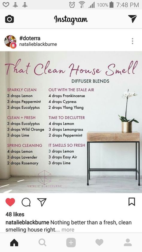 that clean house smell Clean House Smell, Doterra Diffuser Blends, Essential Oil Diffuser Blends Recipes, Essential Oil Diffuser Recipes, Oil Diffuser Recipes, Essential Oil Blends Recipes, Essential Oil Mixes, Living Essentials Oils, Diffuser Recipes