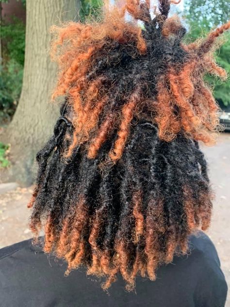 Hair Jazz, Dreadlocks Hair Care, Short Dreadlocks Styles, Twa Hairstyles, Short Locs Hairstyles, Dreadlock Style, Dreadlock Styles, Dyed Hair Inspiration, Pretty Hair Color