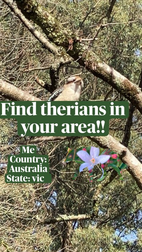 Hopefully this will help quite a few people find therian friends in their area Looking For Friends, Australia