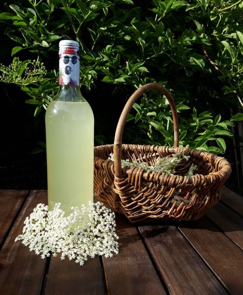 Elderflower Champagne – The Rose of Mercia Elderflower Recipes, Elderflower Champagne, Empty Glass Bottles, Best Shakes, Trial And Error, Creepy Crawlies, The Rose, Decorative Wicker Basket, Glass Bottles