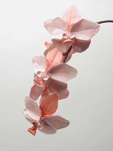 Origami Orchid, 3d Paper Flowers, Wall Hanging Ideas, Geometric Origami, Cute Origami, Origami Dragon, Hanging Ideas, Folding Origami, Paper Craft Ideas