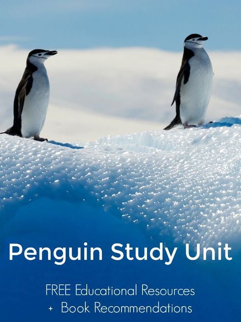 Penguin Unit Study | Mommy Evolution Penguin Unit, Book Dedication, Dedication Ideas, Winter Unit, Study Resources, Winter Activities For Kids, Curriculum Planning, Science Activities For Kids, Unit Studies