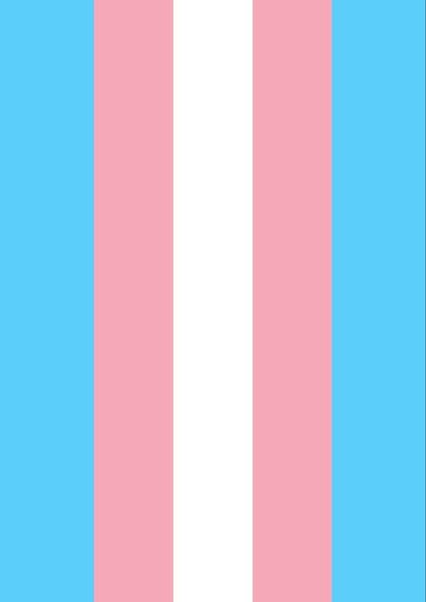 Transgender Quotes, Transgender Flag, Trans Pride Flag, Transgender Mtf, Trans Boys, Trans Flag, Pride Flag Colors, Lgbtq Flags, Pride Colors