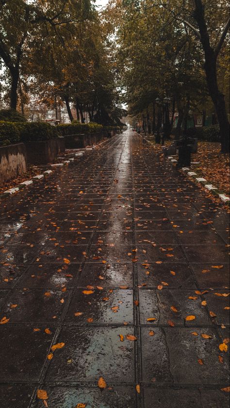 Rasht Iran📌 Rasht Iran, Iran Nature, Iran Pictures, Thought Quotes, Deep Thought, Cool Pictures Of Nature, Fall Wallpaper, Deep Thought Quotes, Photography Art