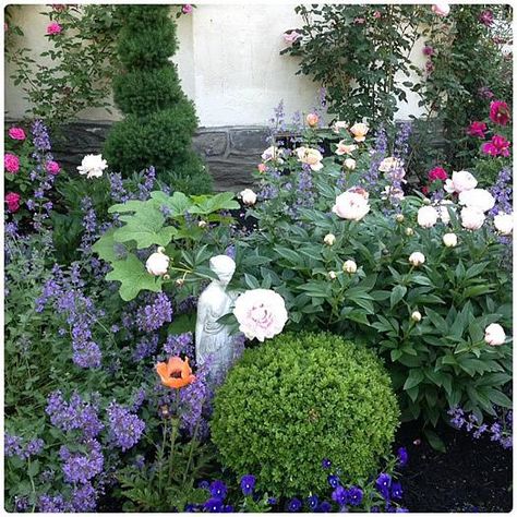 Casey Pradelli of Haverford, Pennsylvania grows roses along with catmint, lady's mantle, foxglove, delphinium, hollyhocks, and peonies in her front garden, now in its fourth year. Peony Flower Garden, Landscaping On A Hill, Rose Border, Rose Garden Design, Growing Peonies, Climbing Rose, Garden Design Layout, Flower Garden Design, Garden Design Plans