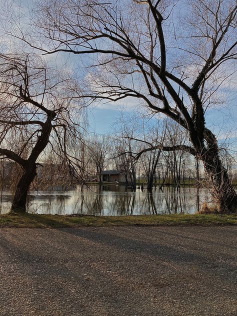 Late Winter Early Spring Aesthetic, Cold Spring Aesthetic, March Aesthetic Month, Early Spring Aesthetic, Spring Aesthetic Nature, Routine Examples, March Weather, April Weather, Spring Core