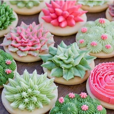 Trending 👉succulent treats like these cookies by @jennycookies . . . . #succulents #succulentcookies #sugarcookies #cookieart #cookiedecorating #buttercreamicing #wiltoncakes #wiltoncakedecorating #desserttrends #spring2018 #springtrends2018 #dessertideas #whatsbaking Bridal Shower Themes, Beautiful Baking, Succulent Cupcakes, Succulent Theme, Succulent Cake, Jenny Cookies, Cactus Cake, Cookie Making, Themes Wedding