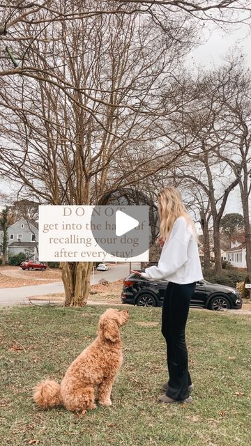 Commands To Teach Your Puppy, Threshold Training Dog, Emotional Support Dog Training, Dog Recall Training, Dog Teaching Training Tips, Impulse Control, Calm Dogs, Good Dog, Be Mindful