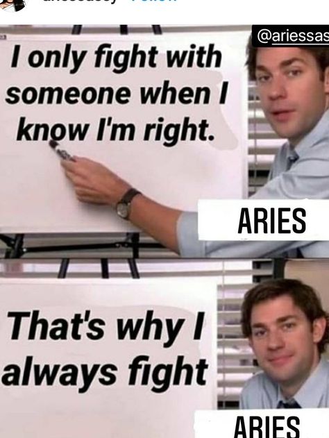 Aries Memes Funny Truths, Aries Vibes, Aries Funny, Aries Energy, Astrology Signs Aries, Aries Aesthetic, Studying Memes, Aries Baby, Aries Quotes