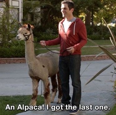 Phil Quotes Modern Family, Phil Dunphy Icon, Modern Family Phil Dunphy, Phil Dunphy Quotes, Onto Better Things, Modern Family Memes, Modern Family Phil, Modern Family Funny, Modern Family Quotes