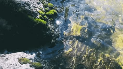 :: 🎀 Water Fall Landscape, Gif Background, Cute Headers, Fantasy Images, Biome, Gif Hunt, Nature Gif, Aesthetic Gif, Go Outside