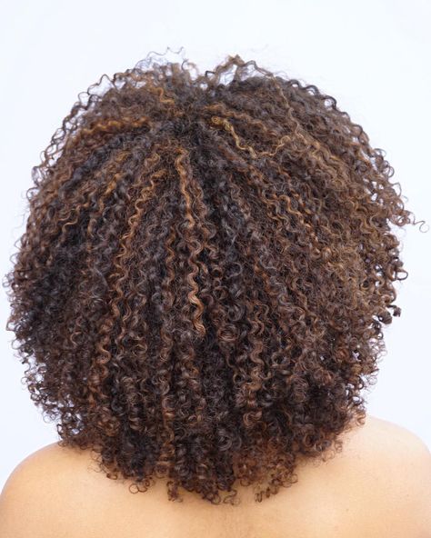 Natural Hair With Brown Highlights, Honey Brown Type 4 Hair, Brown Highlights On Natural 4c Hair, Brown Highlights On Black Hair Curly 4c, Honey Brown Balayage Hair, Balayage Afro Hair, Brown Highlights On Natural Hair, Highlights On Natural Hair Black Women, Honey Brown Balayage Curly Hair