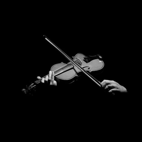 Violin Tips, Violin Photography, Violin Art, Violin Lessons, Music Aesthetic, Violinist, West Yorkshire, Geek Culture, Jazz Music