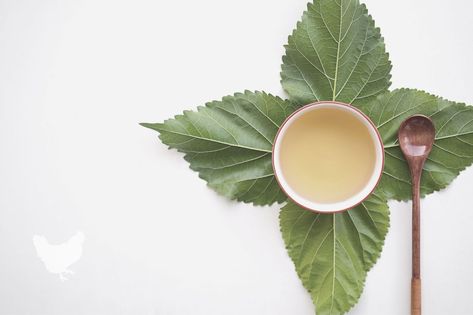 Let's explore how to make mulberry leaf tea, look at leaf identification, and some of the benefits drinking this tea has to offer. Mulberry Tea, Leaf Identification, Starting A Farm, Tea Farm, Mulberry Leaf, Farm Clothes, Mulberry Tree, Tea Tasting, Health Drink