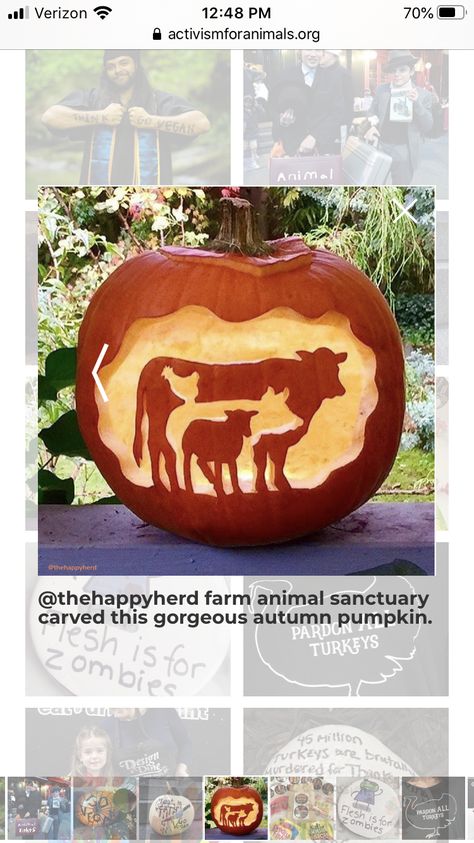 Chicken Carving Pumpkin, Creepy Animals, Vegan Halloween, Pumpkin Contest, Pumpkin Carving Ideas, Harvest Party, Carving Ideas, Spooky Halloween, Jack O Lantern