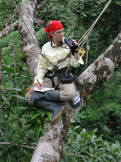 Conservation Corps Aesthetic, Wildlife Researcher Aesthetic, Zookeeper Aesthetic, Environmental Science Aesthetic, Conservation Scientist, Zoology Aesthetic, Ecuador Aesthetic, Environmental Science Major, Wilderness Therapy