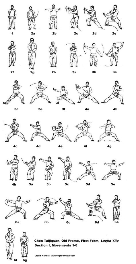 Chen Taijiquan, Old Frame, Second Form, Cannon Fist, Laojia Erlu, Section I, Movements 1-5: Descriptions, Illustrations, Commentary, Notes, Instructions Tai Chi Movements, Tai Chi Moves, Tai Chi For Beginners, Martial Arts Sparring, Chi Gong, Tai Chi Exercise, Tai Chi Qigong, Trening Sztuk Walki, Kung Fu Martial Arts