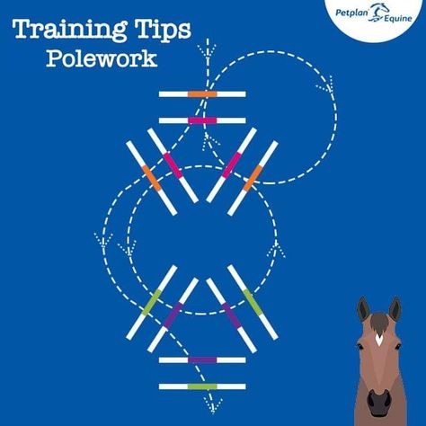 Pole Exercises For Horses, Equestrian Exercises, Jump Exercises, Horse Jumping Exercises, Pole Exercises, Riding Ideas, Equine Vet, Work Exercises, Jumping Exercises