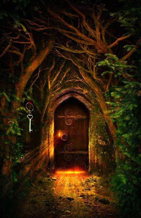 Door full of light in the enchanted forest... Shaking Hands, Secret Door, A Fairy Tale, Old Door, Fairy Land, Magical Places, Enchanted Forest, In The Forest, Another World