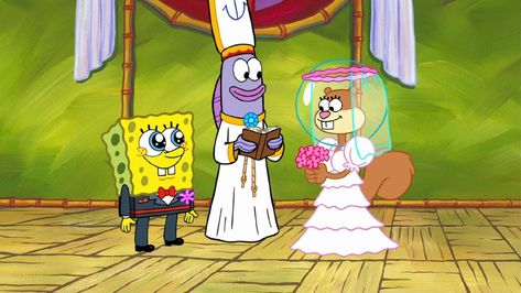 Humor Spongebob, Spongebob And Sandy, Wallpaper Spongebob, Spongebob Square, Sandy Cheeks, Spongebob Patrick, Paper Boy, Spongebob Funny, Spongebob Wallpaper