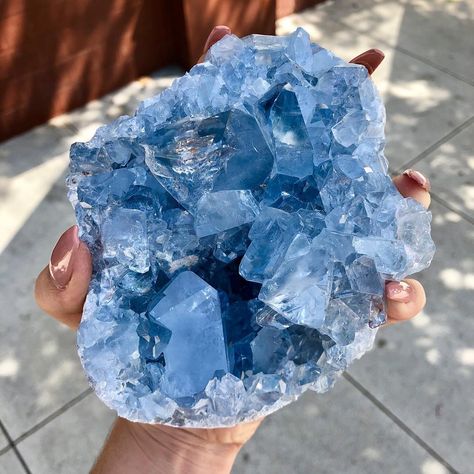 ROCKS•MINERALS•CRYSTALS on Instagram: “Happy Tuesday 💜 we’re open 11-7 this week as usual ❤️ I love this juicy Celestite geode from a recent live sale. Definitely getting more of…” Rock Minerals, Crystal Geode, Healing Crystal Jewelry, Pretty Rocks, Crystal Magic, Beautiful Rocks, Crystal Decor, Mineral Stone, Minerals And Gemstones