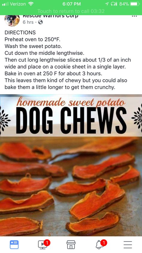 Long Lasting Dog Treats Homemade, Homade Dog Treats, Sweet Potato Dog Chews, Dog Meals, Sweet Potato Dog, Foods Dogs Can Eat, Potato Dog, Pet Treats Recipes, Painting Front Porch